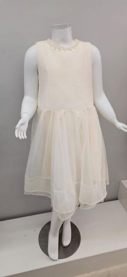 صورة فستان بيج نفاش أنيق مع الؤلؤ على العنق